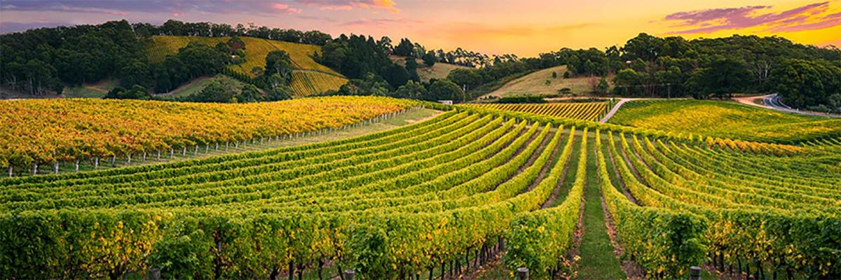 Academy of Wine Business Research