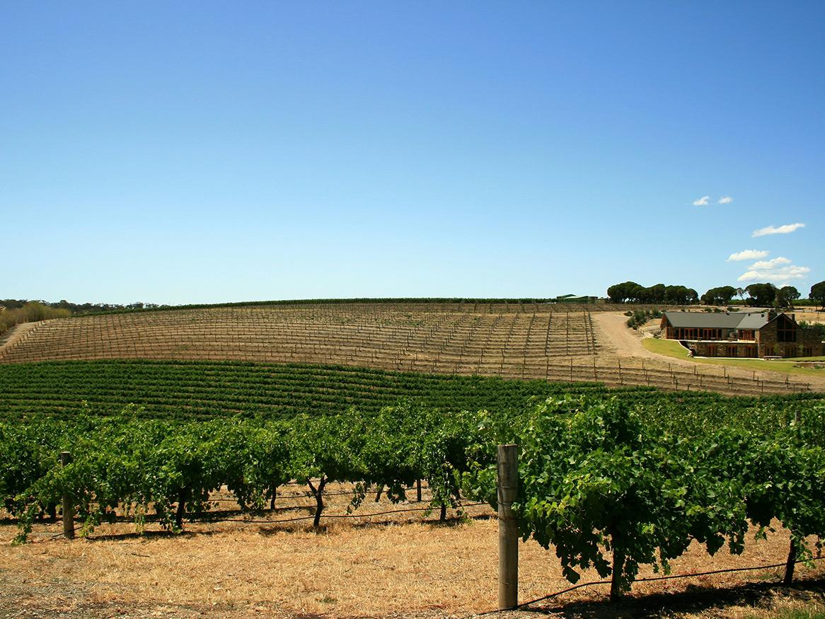 Wineries in South Australia